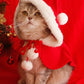 🎄🐈CHRISTMAS COSTUME PONCHO CAPE WITH HAT