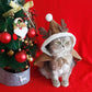 🎄🐈CHRISTMAS COSTUME PONCHO CAPE WITH HAT