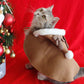 🎄🐈CHRISTMAS COSTUME PONCHO CAPE WITH HAT