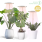 🪴💡The Plant Halo